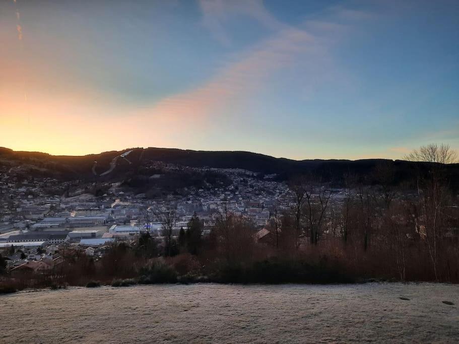 Appartement Residence Les Dryades Avec Vue Montagne Gérardmer Exterior foto