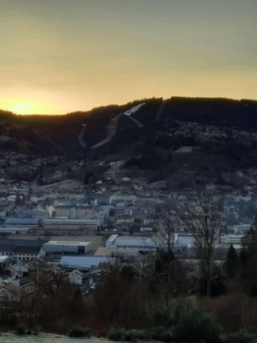 Appartement Residence Les Dryades Avec Vue Montagne Gérardmer Exterior foto